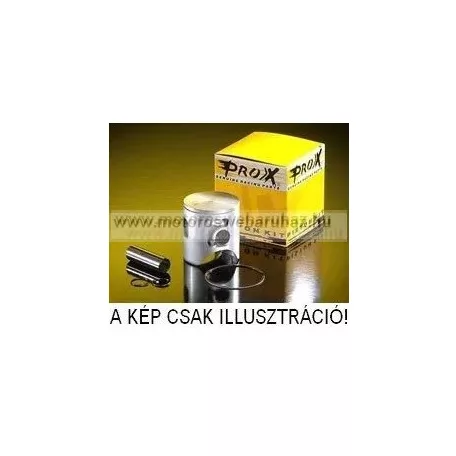 DUGATTYÚ SZETT PROX (01.1111) 46.95-46.96mm 