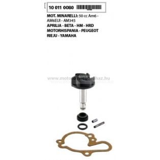 Vízpumpa javító szett RMS (100110080) Minarelli AM6