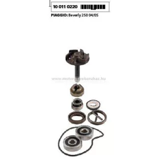   Vízpumpa javító szett PIAGGIO BEVERLY 250 2004/05 (100110220) RMS