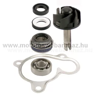 Vízpumpa javító szett YAMAHA (100110270) RMS 