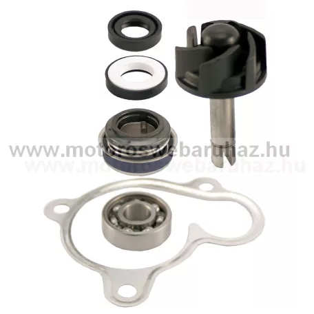 Vízpumpa javító szett YAMAHA (100110270) RMS 