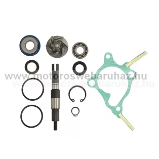   Vízpumpa javító szett HONDA FORESIGHT/JAZZ 250CC. 4T (100110310) RMS