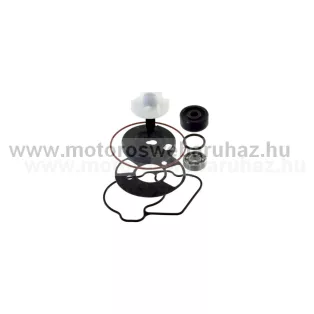 Vízpumpa javító szett YAMAHA (100110540) RMS 