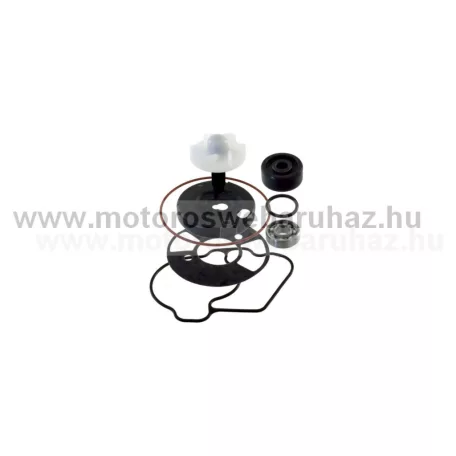 Vízpumpa javító szett YAMAHA (100110540) RMS 