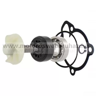 Vízpumpa javító szett YAMAHA (100110700) RMS 