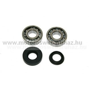 CSAPÁGY+SZIMERING SZETT RMS ( acélkosár.) (100200340)