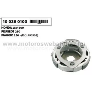   Kuplung RMS PIAGGIO X9 (2000), HONDA FORESIGHT 250 (100360100)