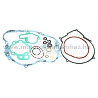   Tömítés szett RMS APRILIA RS 50 kmpl. (100680050) MINARELLI AM6