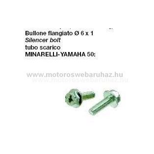 Kipu. RMS rögzítő csavar átm.: M6 (121856050)