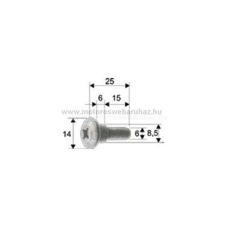 Idomcsavar RMS (121856100) PIAGGIO M6x25mm