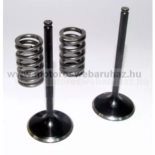   SZELEP PROX (28.SIS1405-2) ACÉL SZÍVÓ SZELEP RUGÓKKAL (2db SZELEP,2db RUGÓVAL)