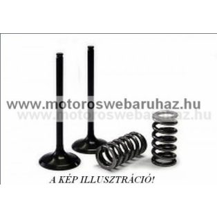   SZELEP PROX (28.SIS2414-2) ACÉL SZÍVÓ SZELEP RUGÓKKAL (2db SZELEP,2db RUGÓVAL)