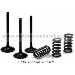   SZELEP PROX (28.SIS2424-2) ACÉL SZÍVÓ SZELEP RUGÓKKAL (3db SZELEP,3db RUGÓVAL)