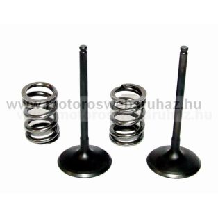   SZELEP PROX (28.SIS3405-2) ACÉL SZÍVÓ SZELEP RUGÓKKAL (2db SZELEP,2db RUGÓVAL)