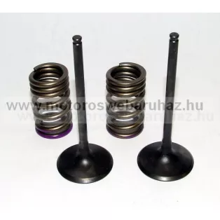   SZELEP PROX (28.SIS4336-2) ACÉL SZÍVÓ SZELEP RUGÓKKAL (2db SZELEP,2db RUGÓVAL)