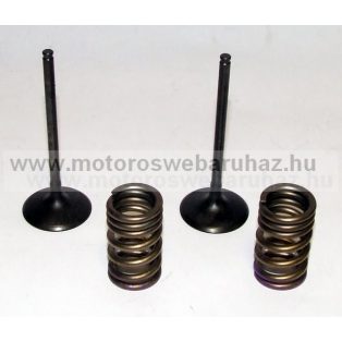   SZELEP PROX (28.SIS6329-2) ACÉL SZÍVÓ SZELEP RUGÓKKAL (2db SZELEP,2db RUGÓVAL)