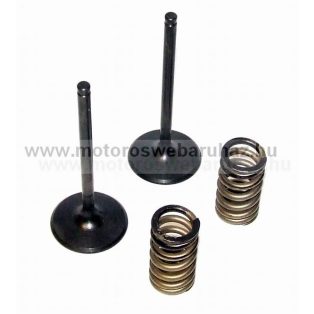   SZELEP PROX (28.SIS6353-2) ACÉL SZÍVÓ SZELEP RUGÓKKAL (2db SZELEP,2db RUGÓVAL)