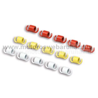 Kuplungrugó szett kicsi MALOSSI(2914484) KUPLUNGHOZ