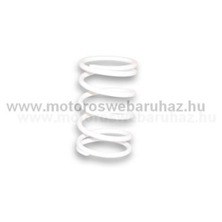   Kontrasztrugó MALOSSI (297047) VARIÁTOR KUPLUNG SZÍJTÁRCSÁHOZ