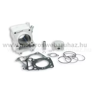 Hengerszett MALOSSI 125 ccm-es (3111627) 