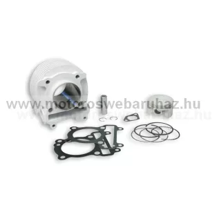 Hengerszett MALOSSI Átmérő: 58mm (3113025) 