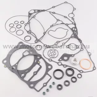 Tömítés szett komplett PROX (34.1419) 