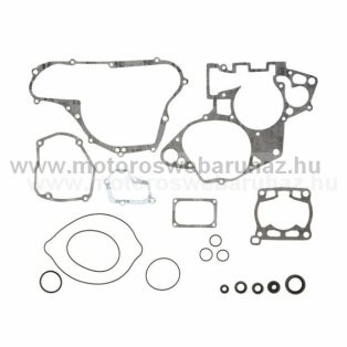 Tömítés szett komplett + szimering szett PROX (34.3218)