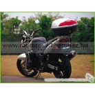 GIVI 436F Spec. monorack karok
