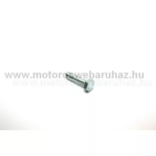   SIMSON (491254) hatlapfejű csavar M6X22 (090066) /Német minőség