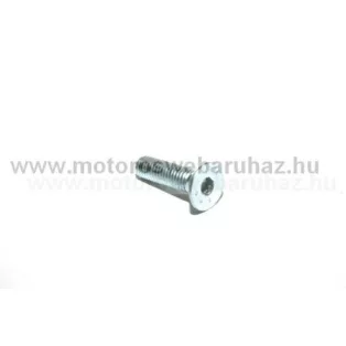   SIMSON (491378) lánckerék biztosító csavar M8X30 (090583) S 51 / S 53 / S 83 /Német minőség