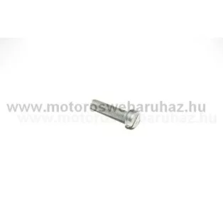   SIMSON (491380) hengeres csavar AM6X25 (090424) /Német minőség