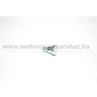   SIMSON (491390) lámpa burkolat rögzítő csavar M5X6 (090188) /Német minőség
