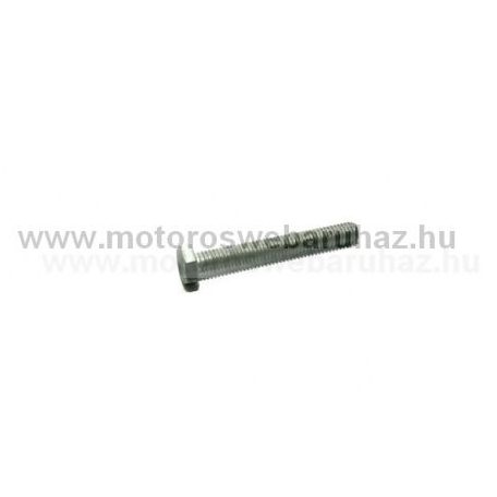 SIMSON (491442) hatlapfejű csavar ( kipufogó bilincs) M6X45 S 50/ S 51/ S 53/ S 70/ S 83/ MOPED SR 2/ ROLLER SR 50/ ROLLER SR 80/ SCHWALBE KR 51/ SPERBER (090071) /Német minőség