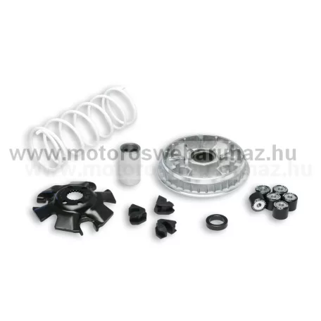 Vario váltó MALOSSI (5111324) MAXI ROBOGÓHOZ 