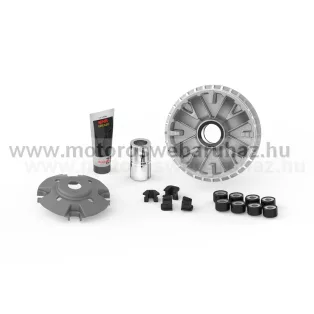 Vario váltó MALOSSI (5117861) MAXI ROBOGÓHOZ