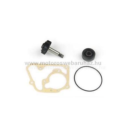 Vízpumpa javító szett YAMAHA YP 125-150-180 MOTOR BLOKKHOZ (AA00805) DR