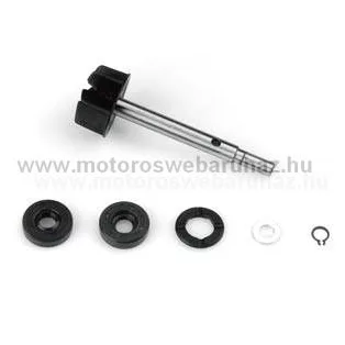   Vízpumpa javító szett APRILIA SCARABEO 125-HÖZ (AA00810) DR