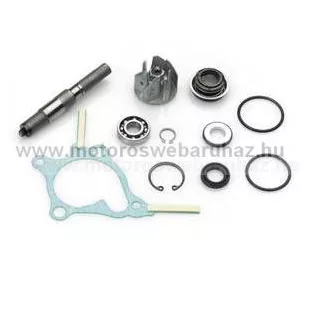   Vízpumpa javító szett HONDA FORESIGHT/JAZZ 250CC. 4T (AA00814) DR