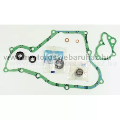 VÍZPUMPA FELÚJÍTÓ SZETT ATHENA