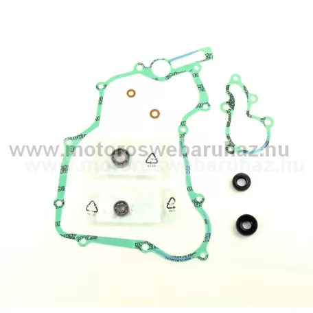 VÍZPUMPA FELÚJÍTÓ SZETT ATHENA