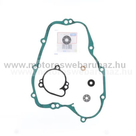 VÍZPUMPA FELÚJÍTÓ SZETT ATHENA