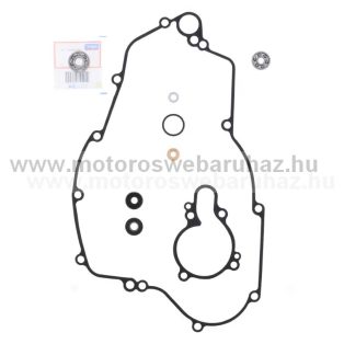 VÍZPUMPA FELÚJÍTÓ SZETT ATHENA