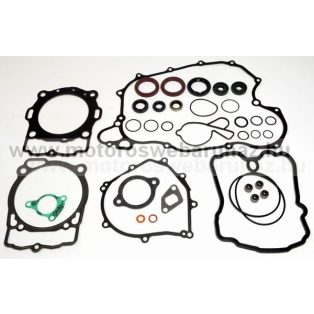   Tömítés szett komplett + szimering szett ATHENA (P400270900062)