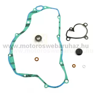 VÍZPUMPA FELÚJÍTÓ SZETT ATHENA