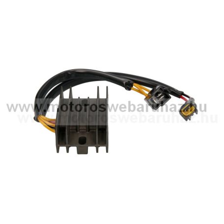 Feszültségszabályozó (RGU-317)