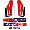   ARC-DESIGN off-road matricaszett 'C-kit' Honda CRF 250 2006-2007 (ARCHONDACRF2502C)