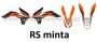 ARC-DESIGN off-road matricaszett 'A-kit' KTM SX 125 250 300 MODELLEKHEZ 2013-2015 (ARCKTMSX7A)