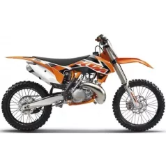 250 SX