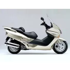 FORZA 250 NSS250 (2002)