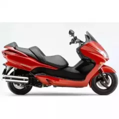 FORZA 250 NSS250 (2005)